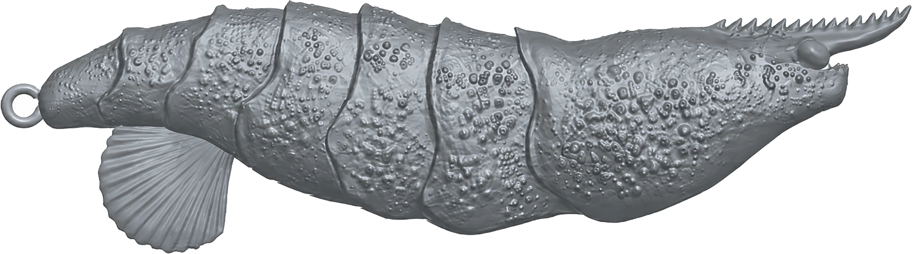 Technical render of the TAFROS body showing the textured surface and tail fin detail